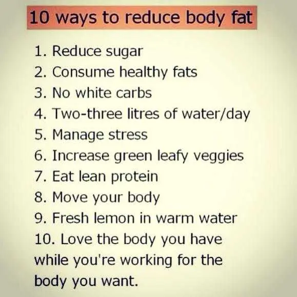 10 facts about body fat