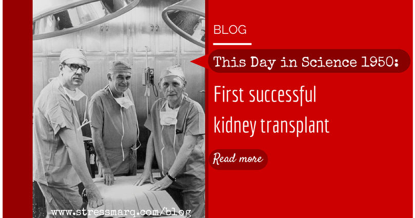 100 years of Poland. Prof. 52 years ago, Bross was the first kidney transplant in Poland