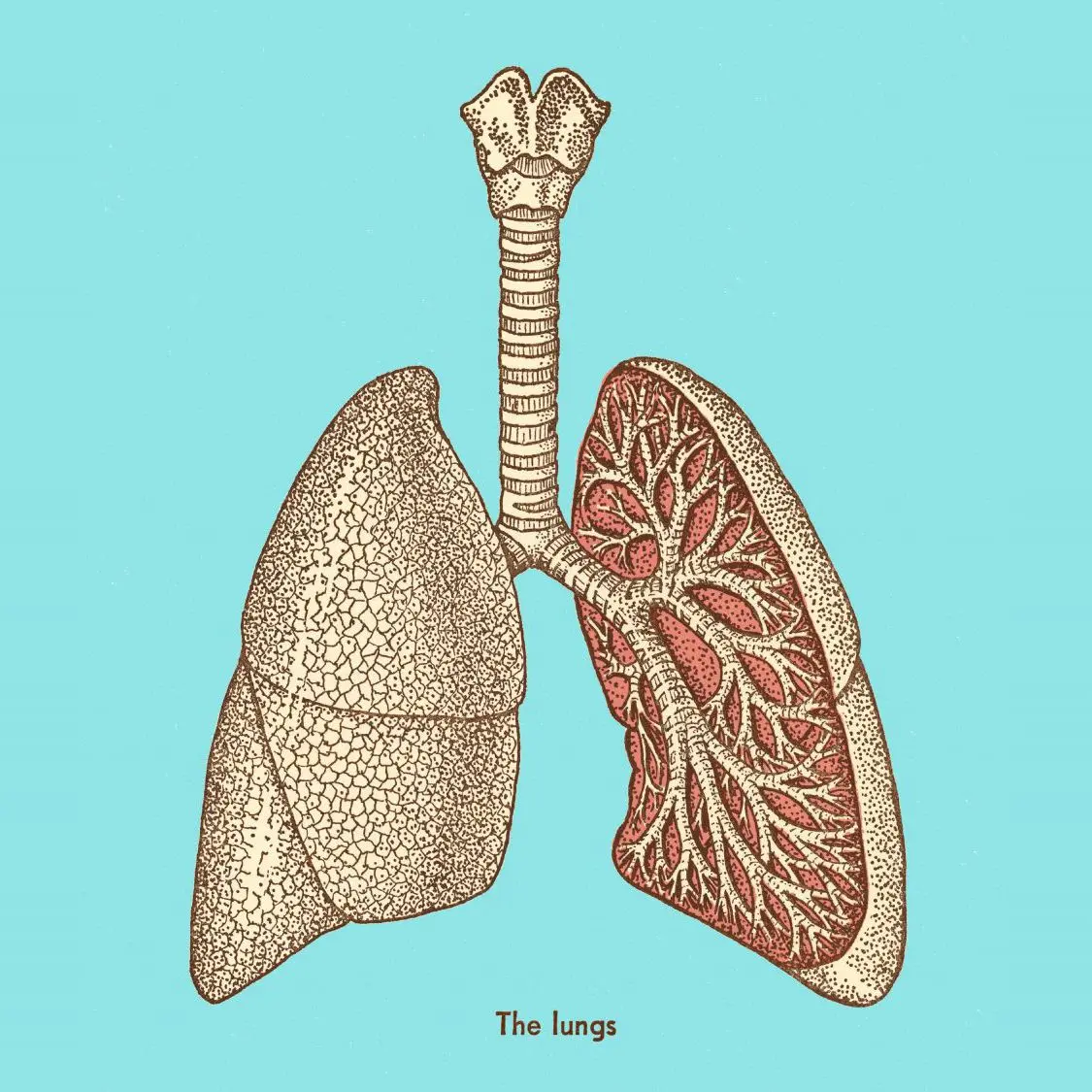 11 signs your lungs are in terrible condition It must not be taken lightly