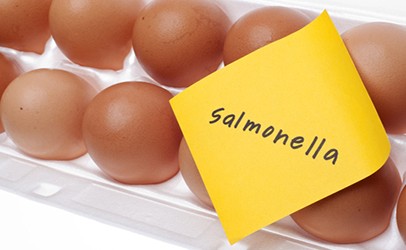 1500 people in Europe have poisoned with salmonella from Polish eggs