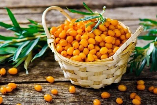 16 sea buckthorn compote recipes