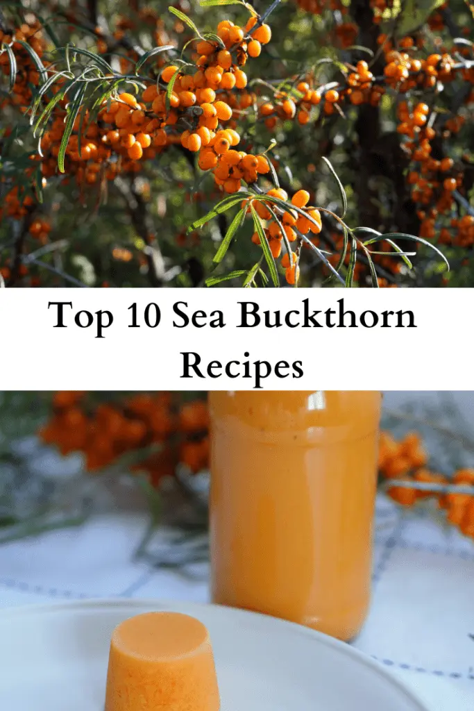 16 sea buckthorn compote recipes