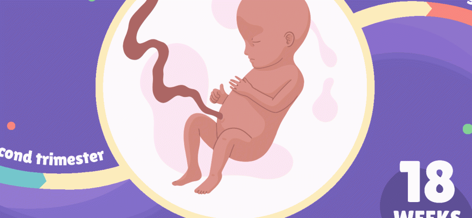 18th week of pregnancy &#8211; baby&#8217;s development, changes in the body, tests and indications