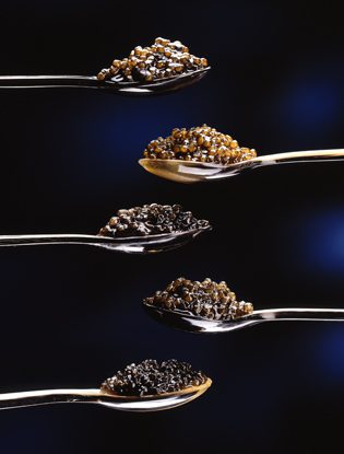 Black, red, white: the most complete guide to caviar