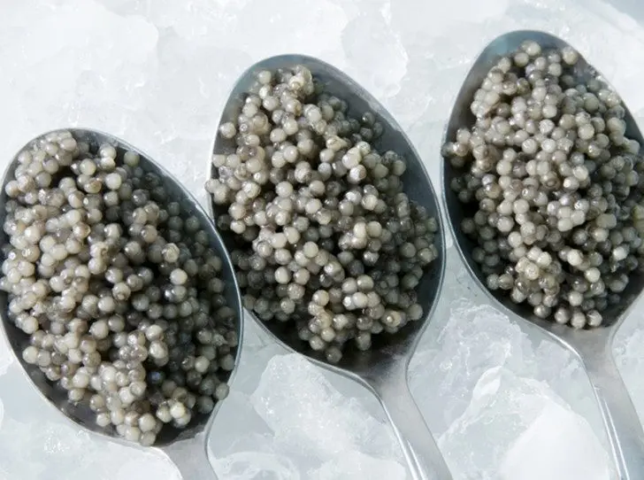 Black, red, white: the most complete guide to caviar