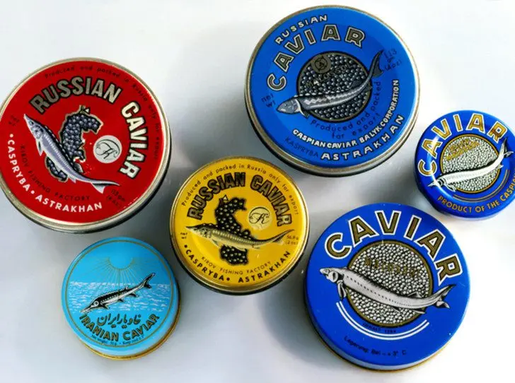 Black, red, white: the most complete guide to caviar