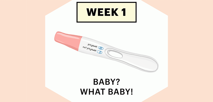 1st week of pregnancy &#8211; changes in the body, tests