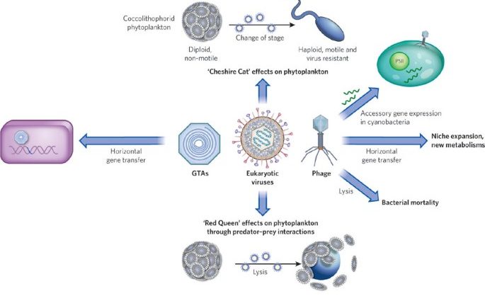 320 viruses are waiting to be discovered