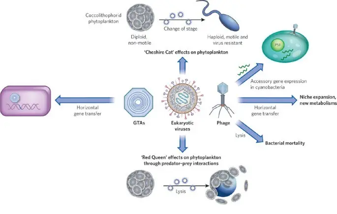 320 viruses are waiting to be discovered