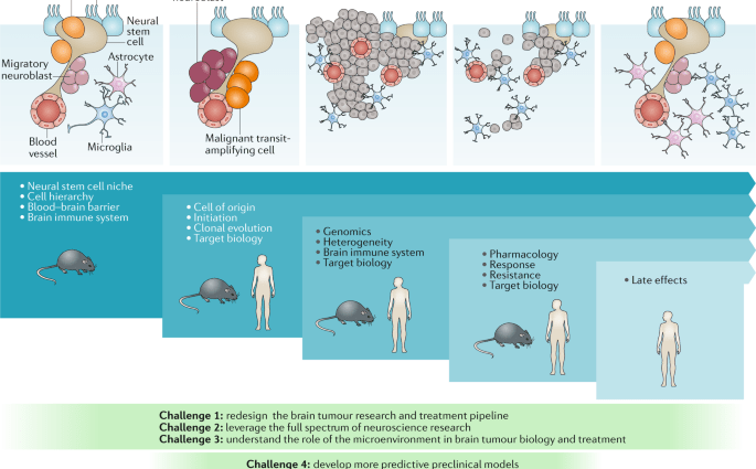 7 most promising neoplasms