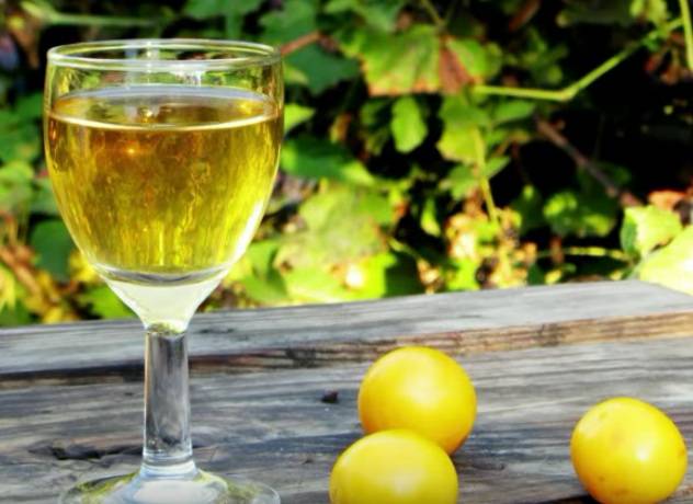 8 recipes for homemade cherry plum wine