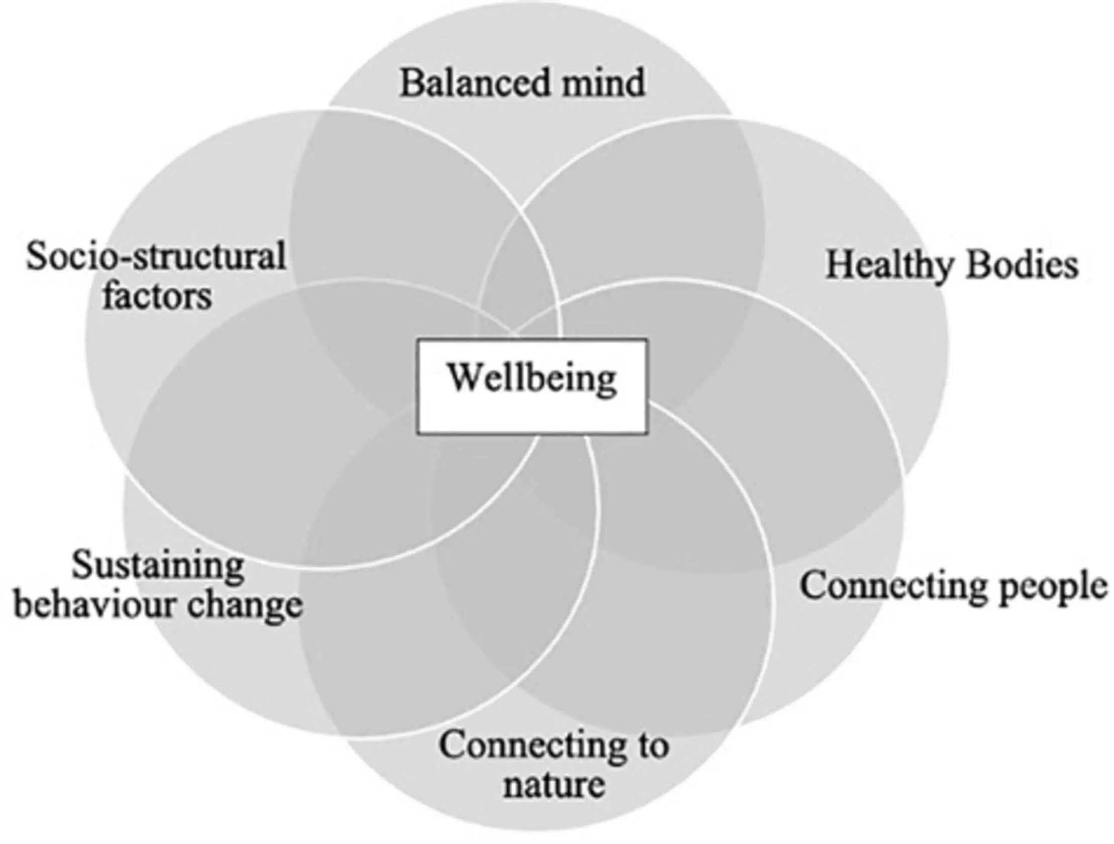 8 Weeks To Health &#8211; The Brain Is A Sports Fan!