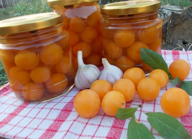 9 pickled cherry plum recipes