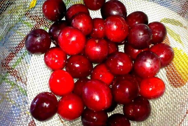 9 pickled cherry plum recipes