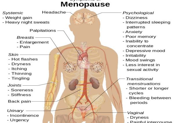 A blood test can predict menopause