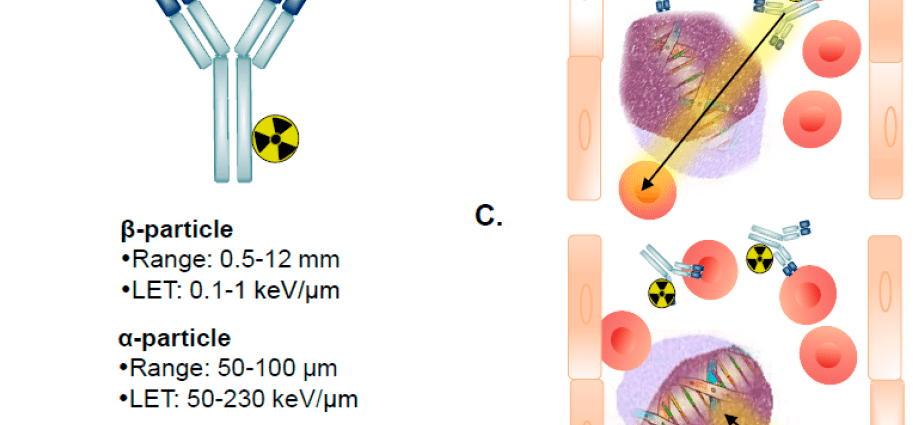 A breakthrough discovery of Poles in the fight against leukemia