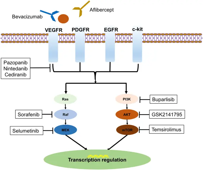 A breakthrough in the treatment of advanced endometrial cancer. What is the new therapy?