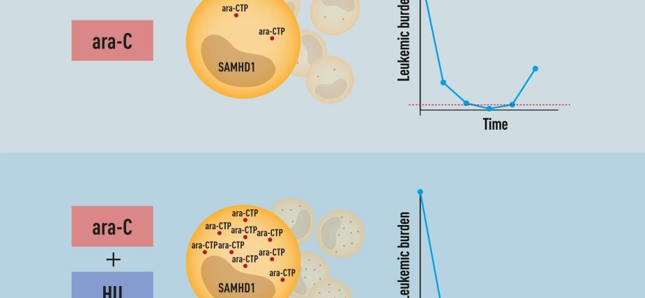 A breakthrough in the treatment of leukemia