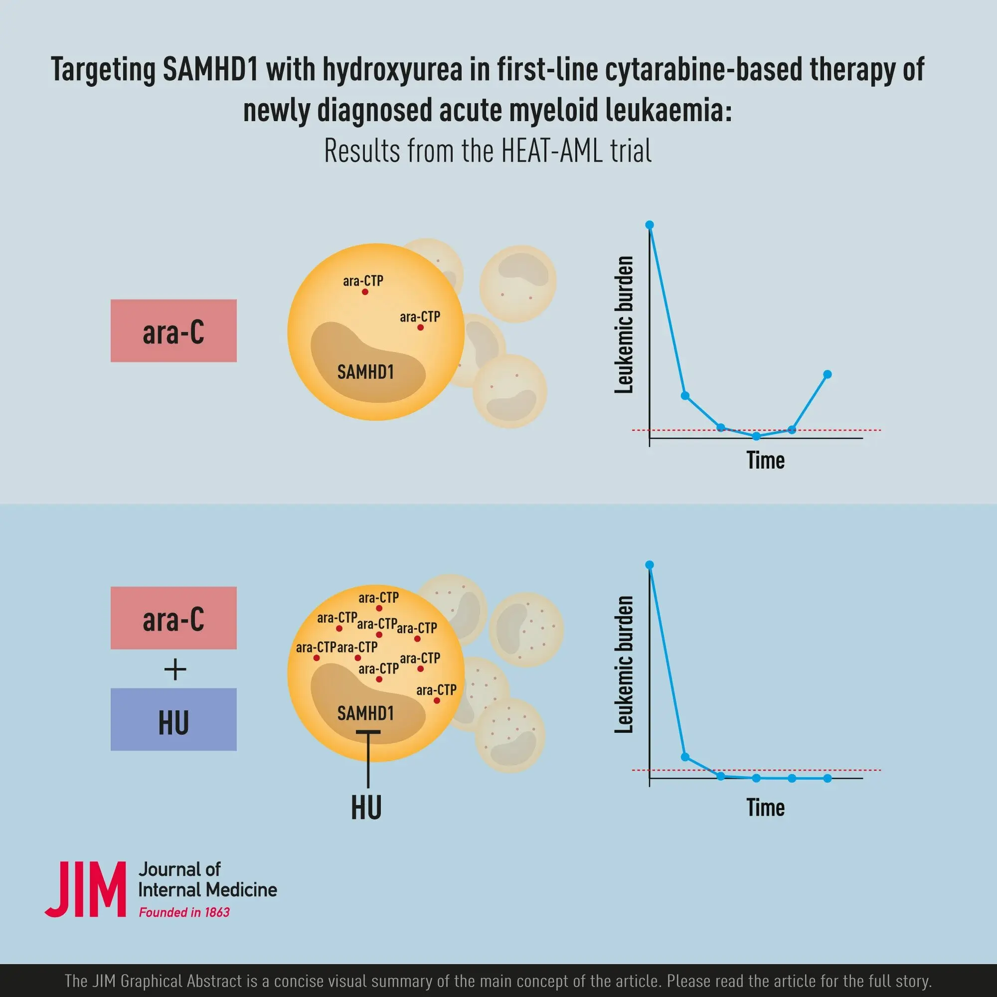 A breakthrough in the treatment of leukemia