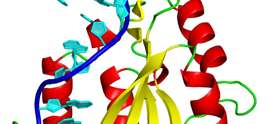 A deadly bacterium in a Polish hospital. It is resistant to antibiotics and can be fatal