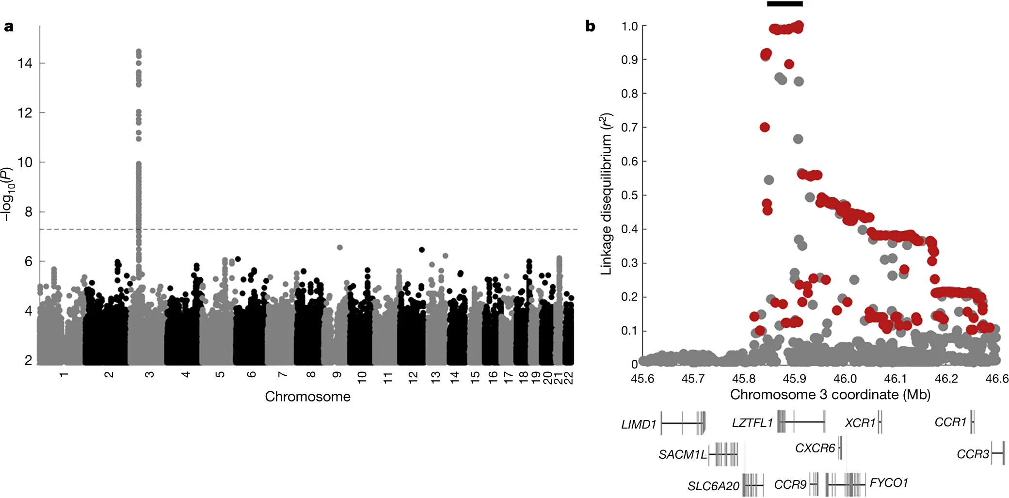 A deficiency of this vitamin increases the risk of a severe course of COVID-19. New findings of scientists