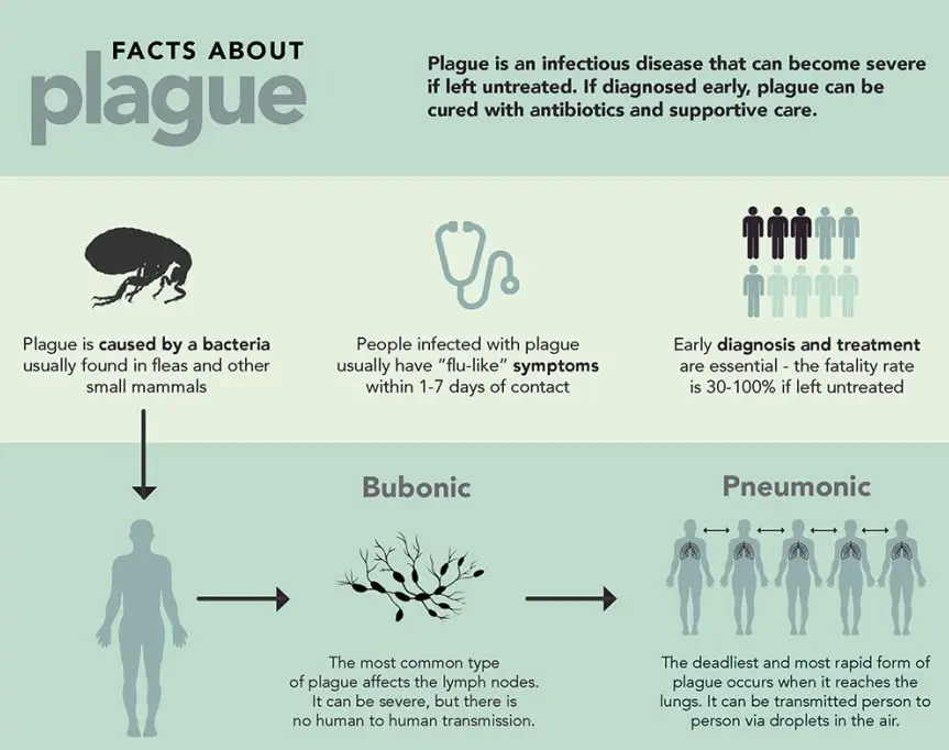 A disease that is most often left untreated