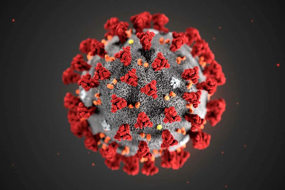 A disturbing phone call revealed the truth about the coronavirus. The situation in North Korea is dire