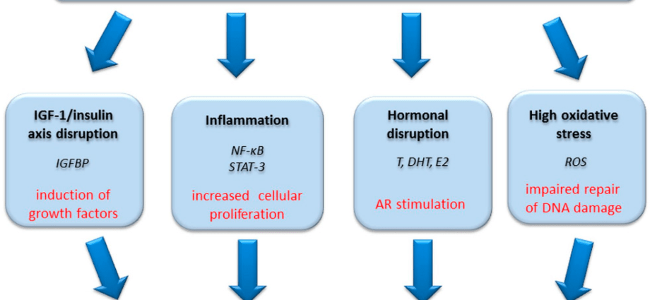 A high-fiber diet inhibits the growth of prostate cancer