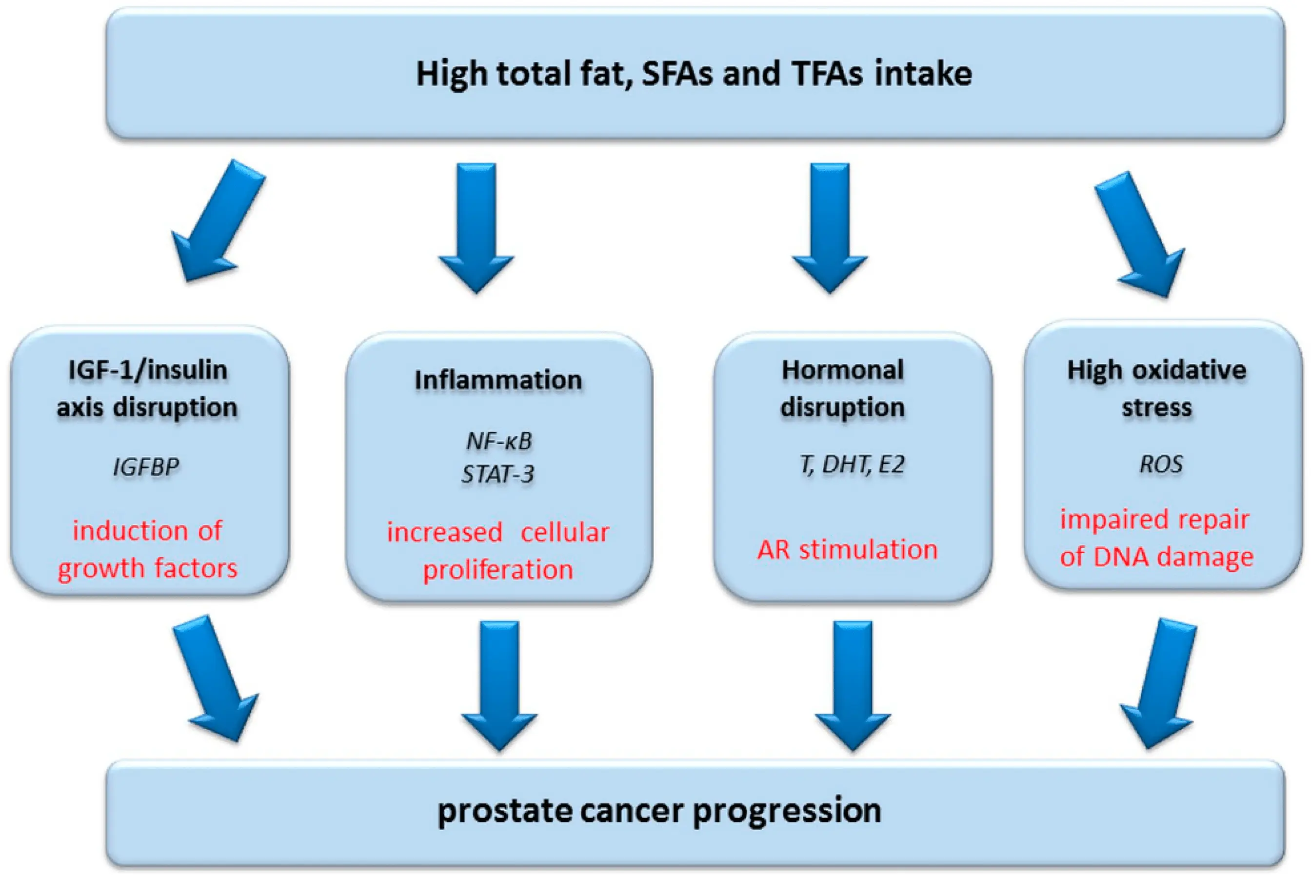 A high-fiber diet inhibits the growth of prostate cancer