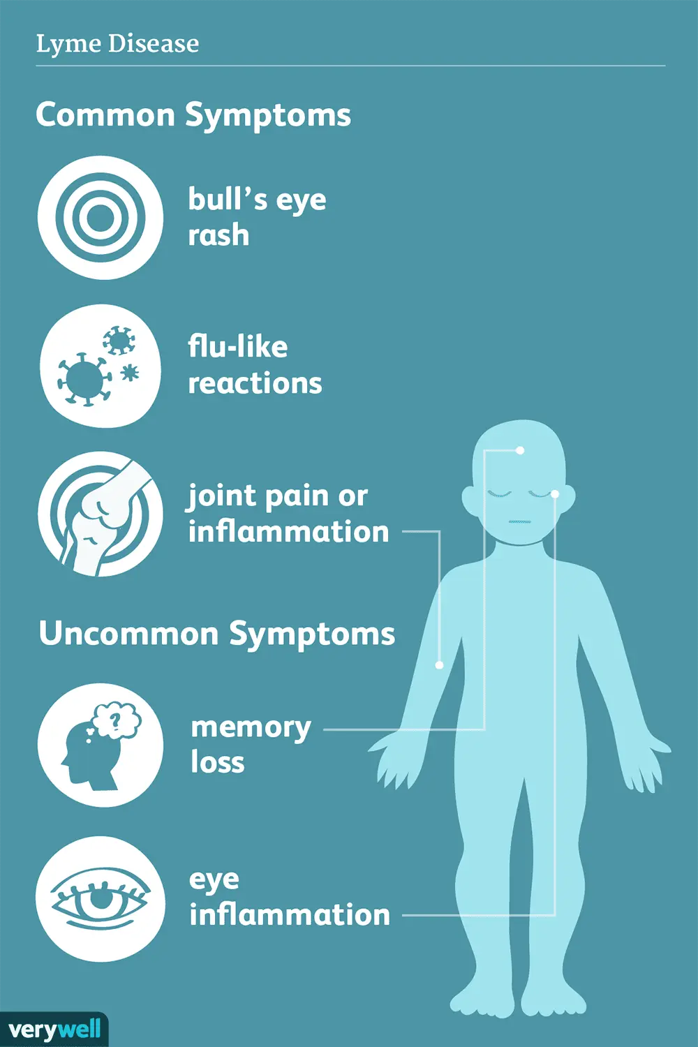 A little known symptom of Lyme disease. Check what should worry you