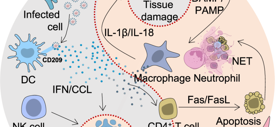 A medical phenomenon. They are super immune to the coronavirus