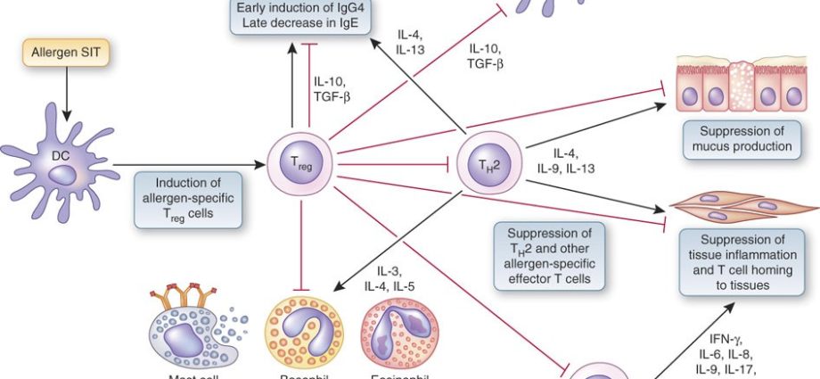 A method of controlling an allergic reaction at the molecular level