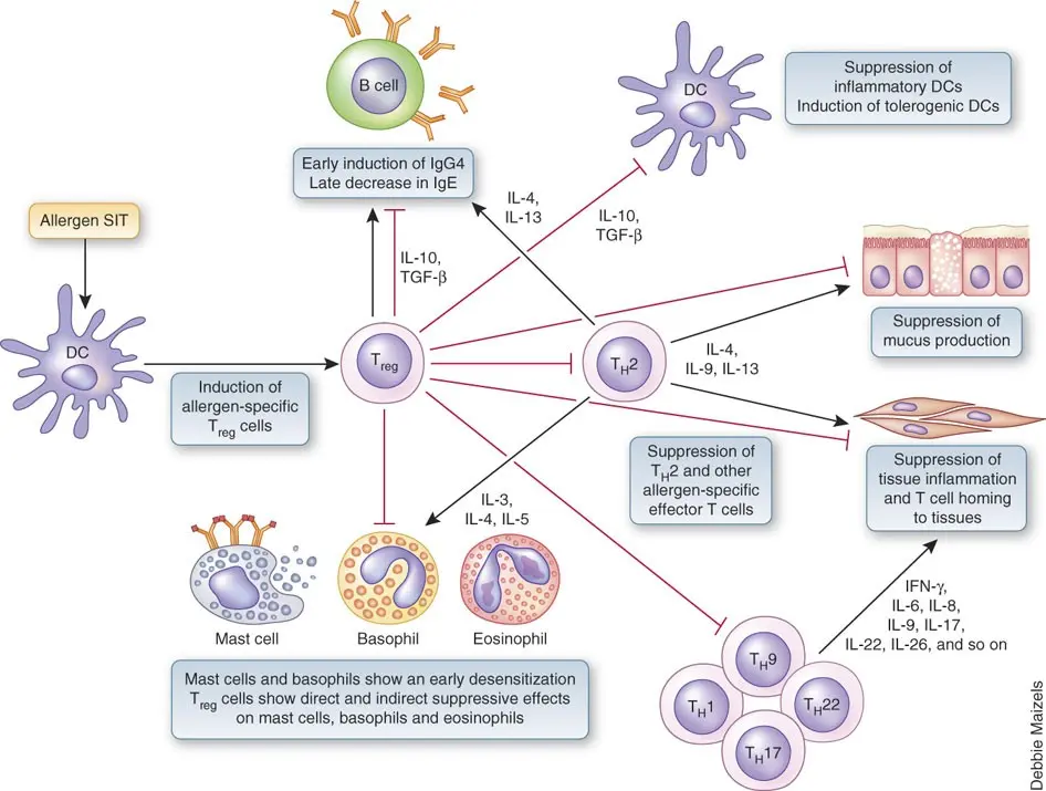 A method of controlling an allergic reaction at the molecular level