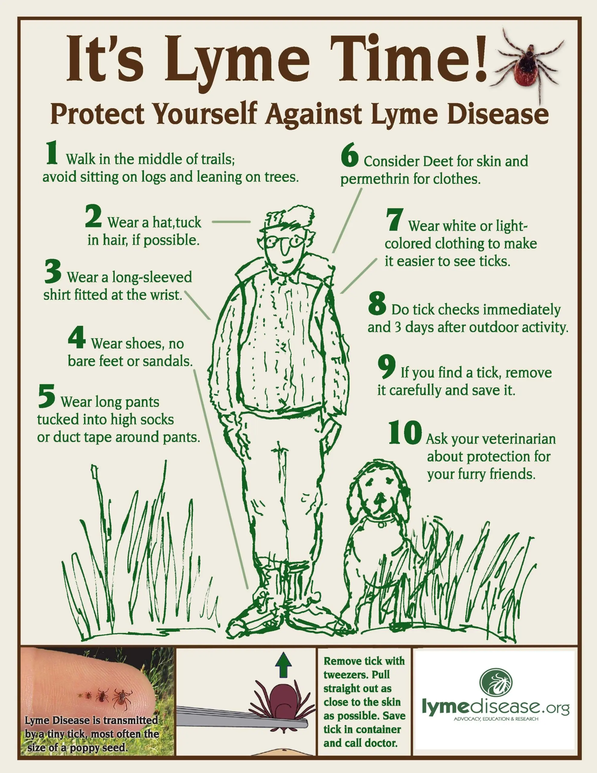 A method of protection against Lyme disease