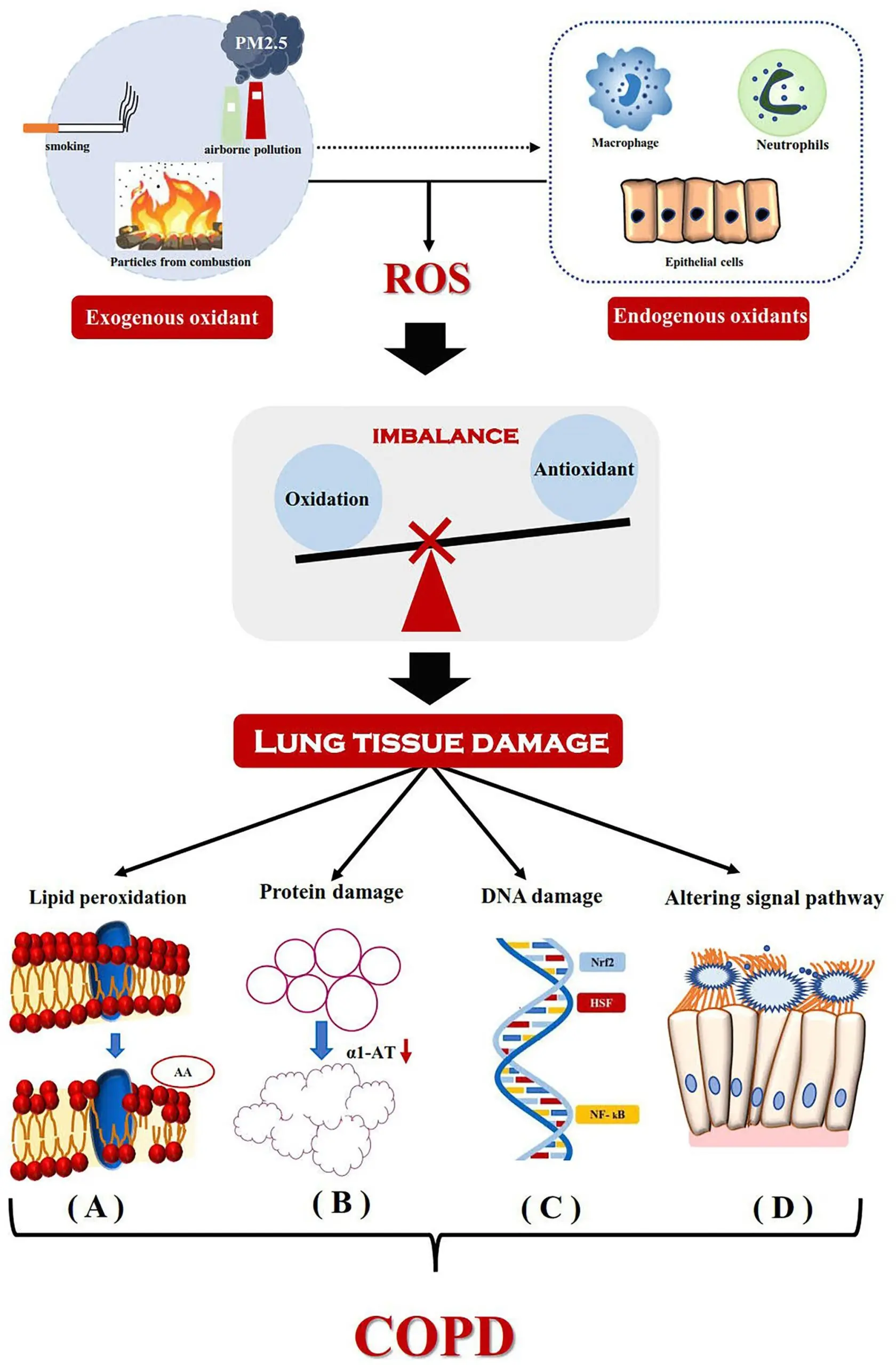 A new method of detecting COPD