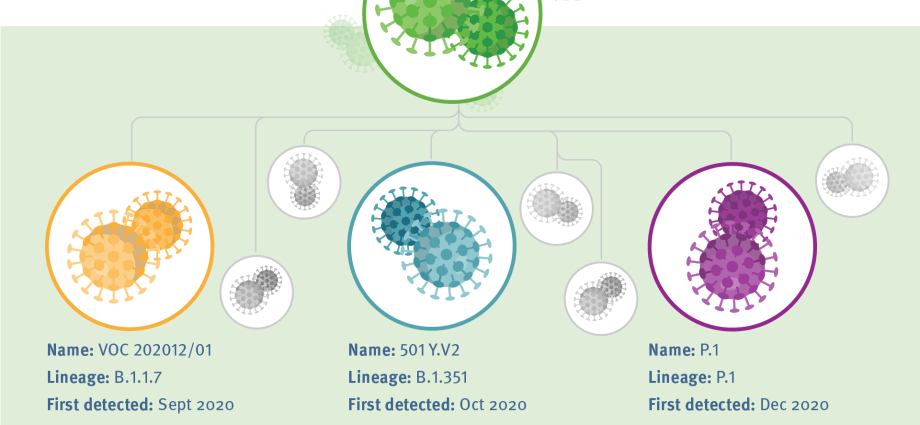 A new variant of the coronavirus. It is the most mutated and can escape vaccines