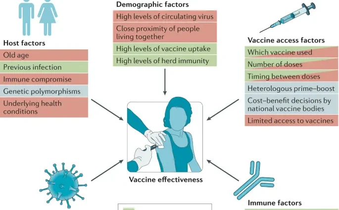 A new variant of the coronavirus. It may be more infectious and immune to vaccines