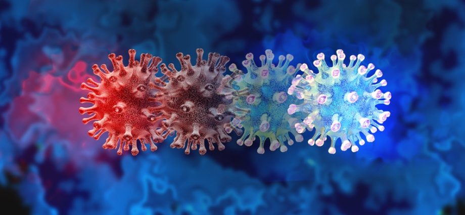 A new variant of the coronavirus. XE is a hybrid that spreads faster than other mutations