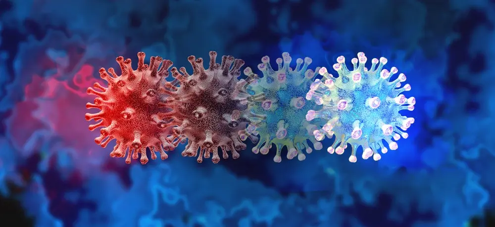 A new variant of the coronavirus. XE is a hybrid that spreads faster than other mutations