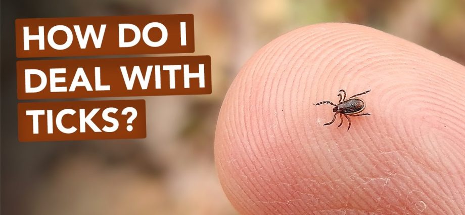 A new way to deal with ticks