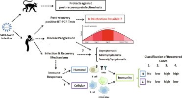 A positive test after recovering from COVID-19 does not mean reinfection, reports the WHO