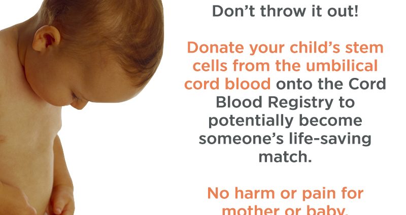 A priceless gift &#8211; an educational picnic for umbilical cord blood stem cells