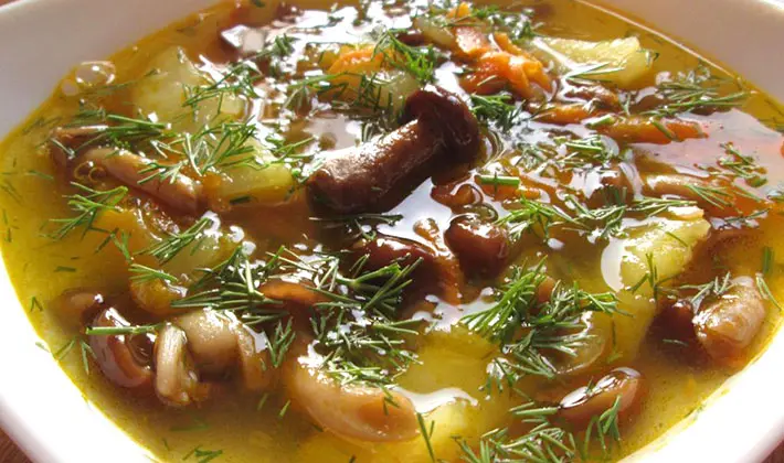 A recipe for mushroom soup made from fresh mushrooms