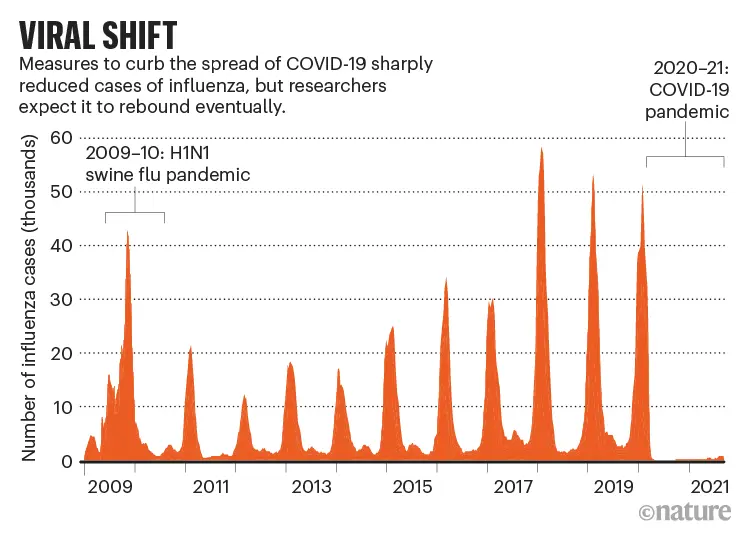 A record mild flu season in Australia. Will it be the same in the Northern Hemisphere?