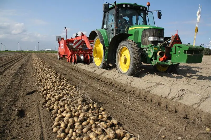 A rich potato harvest from 1 ha: the secrets of growing crops