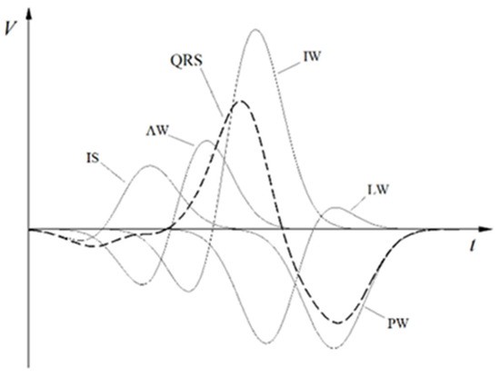 A scientist from Zielona Góra among the world&#8217;s ECG specialists