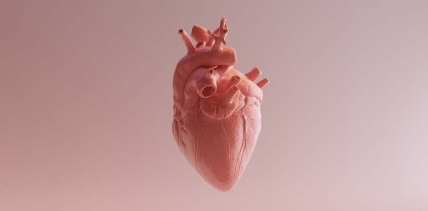 A simple test will assess the condition of your heart. If you make it in 60 seconds, it&#8217;s okay