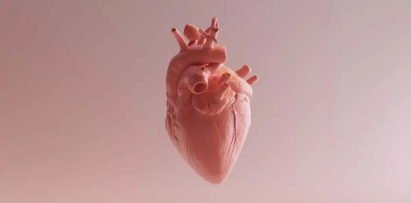 A simple test will assess the condition of your heart. If you make it in 60 seconds, it&#8217;s okay