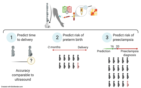 A simple test will predict the risk of premature birth