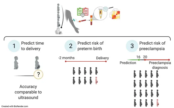 A simple test will predict the risk of premature birth